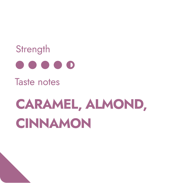 Mexico - Nuss & Zimt-1